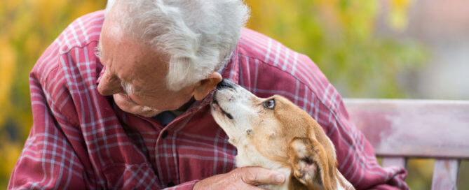 companion pets for seniors